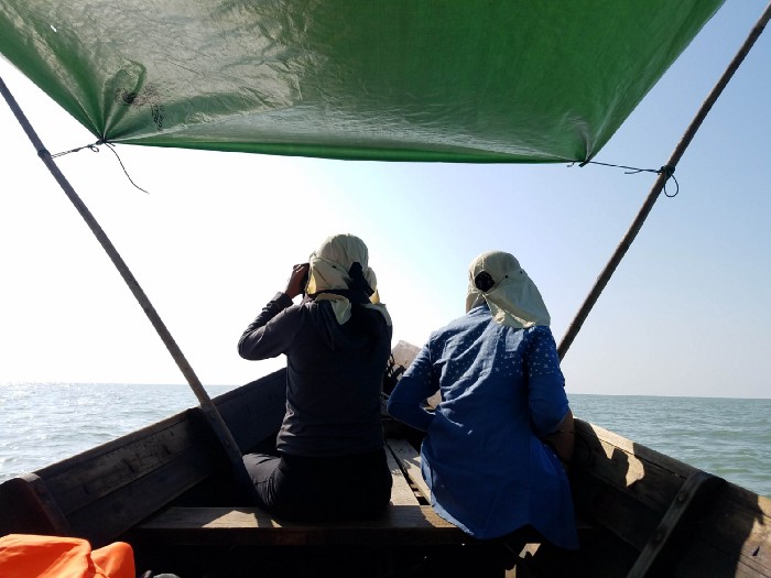 What dwells in these muddy waters: The quest for dolphins and porpoises in the Gulf of Mottama,&nbsp;Myanmar